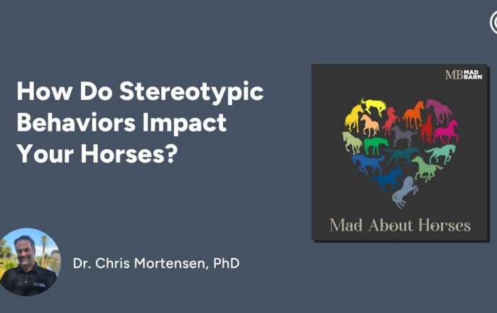 How Do Stereotypic Behaviors Impact Your Horse
