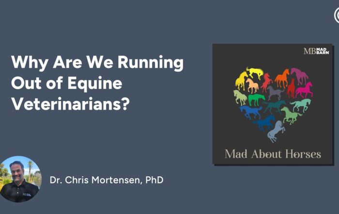 Why Are We Running Out of Equine Veterinarians?