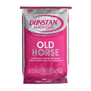 Old Horse (Dunstan)
