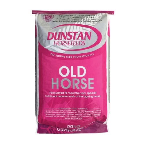 Old Horse (Dunstan)