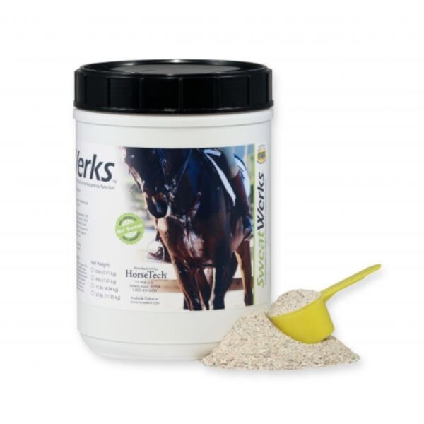 Sweat Werks (HorseTech)