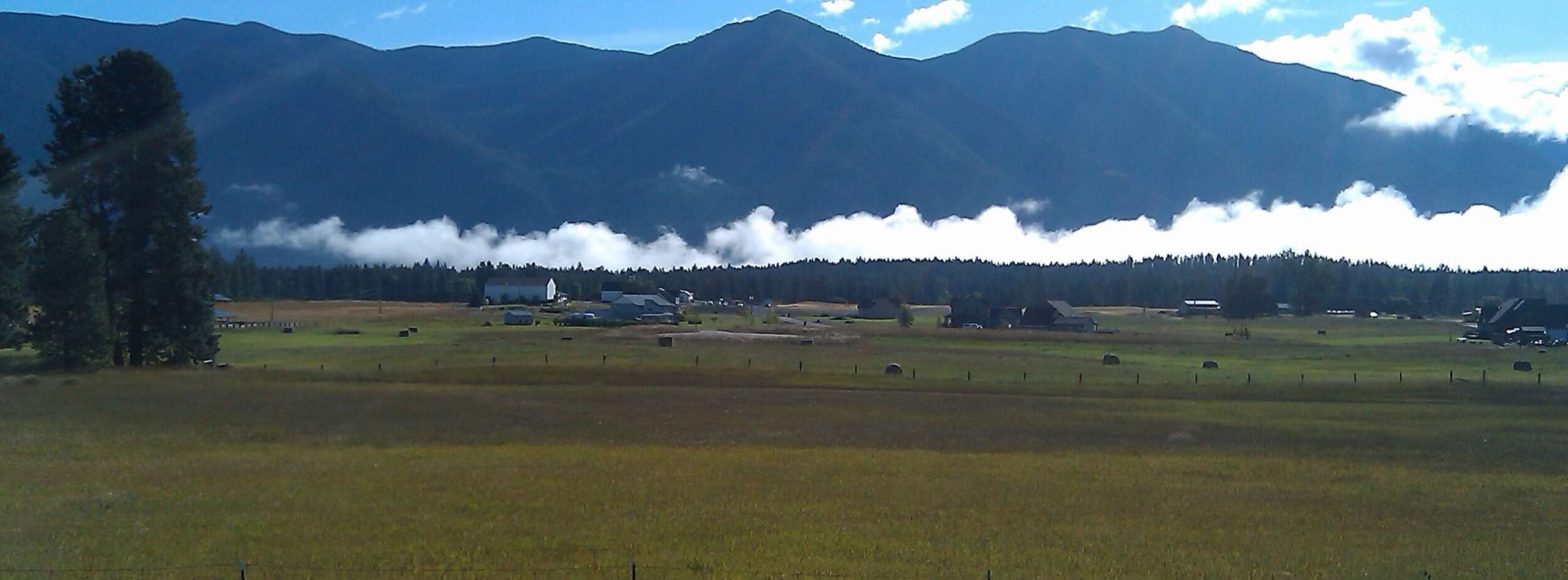 Leah Mitchell - Boarding Stable