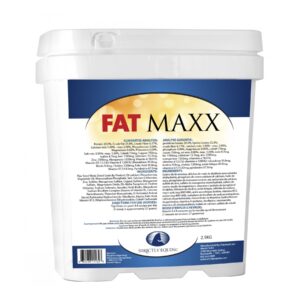 Fat Maxx (Strictly Equine)