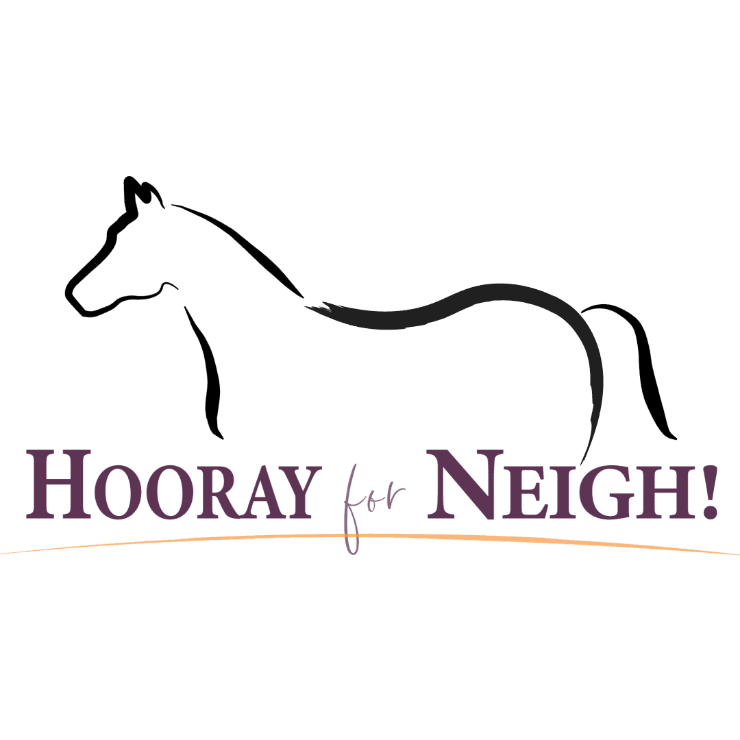 Lisa Heenan - Bit & Bridle Fitting