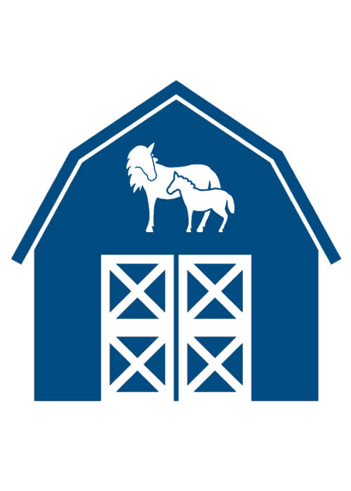 Magic Valley Akhal-Tekes - Breeder