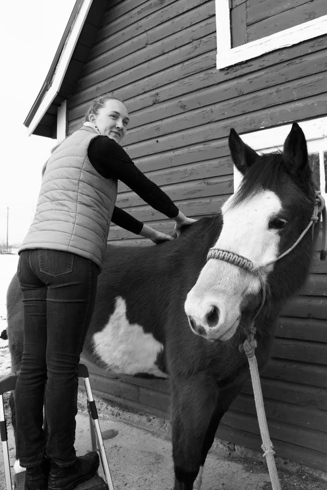 Dania Neville - Equine Massage Therapist