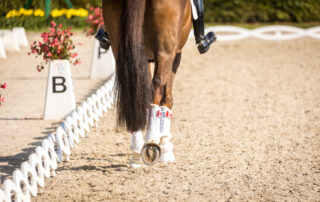 olympic-equestrian-dressage-guide