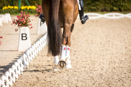 olympic-equestrian-dressage-guide