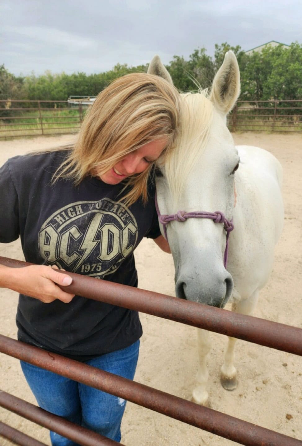 Dionne Meidinger - Equine Massage Therapist
