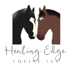 Natalie Martinez - Equine Massage Therapist