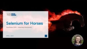Selenium for Horses – Mad Barn – Vet Talk