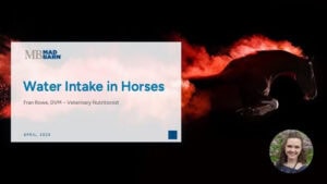Water Intake in Horses – Mad Barn – Vet Talk