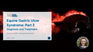 Part 2 – Equine Gastric Ulcer Syndrome: Diagnosis and Treatment – Mad Barn – Vet Talk
