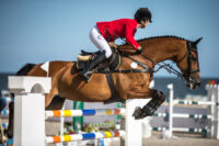 Equestrian Show Jumping: History, Competition & Rules – [Discipline Guide]