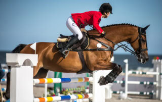 show-jumping-equestrian-discipline-guide