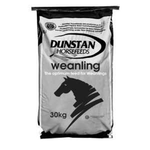 Weanling (Dunstan)