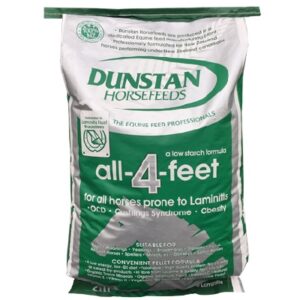 All-4-Feet (Dunstan)