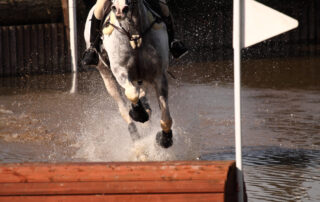 eventing-discipline-guide