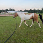 Ingrid Silfvast-Kaiser