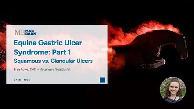 Part 1 – Equine Gastric Ulcer Syndrome: Squamous vs. Glandular Ulcers – Mad Barn – Vet Talk