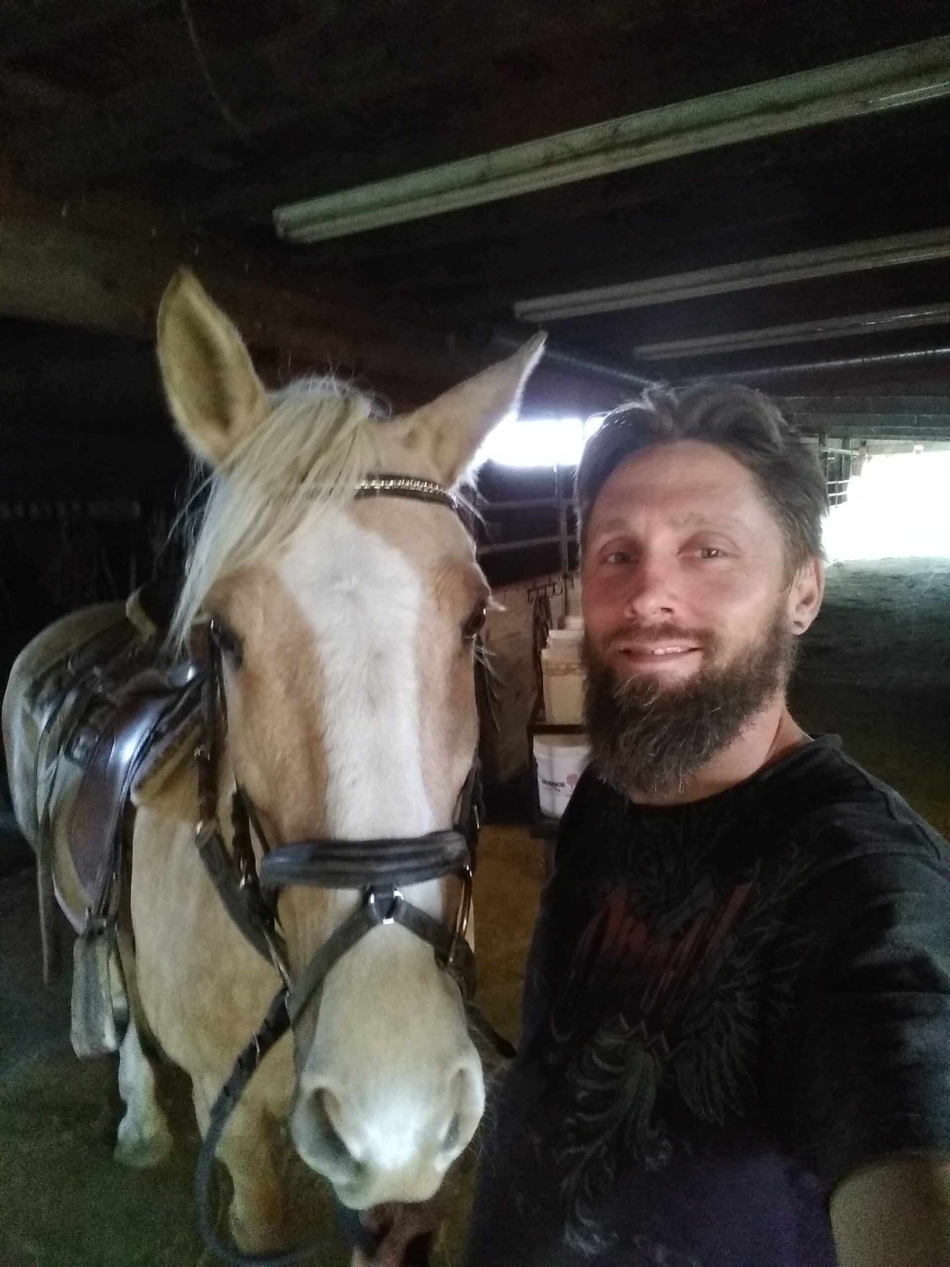 Christopher Petka - Equine Massage Therapist