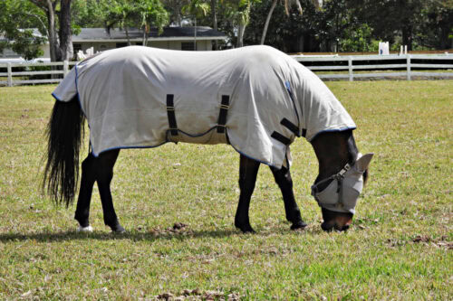 insect-stings-and-spider-bites-in-horses