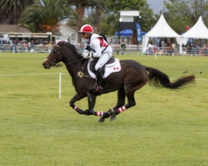 Karl Slezak CAN and Hot Bobo