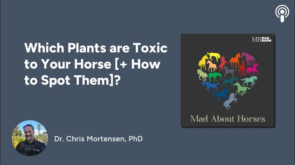 Which Plants are Toxic to Your Horse [+ How to Spot Them]?