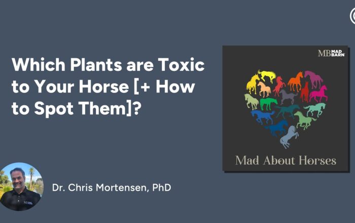 Which Plants are Toxic to Your Horse [+ How to Spot Them]?