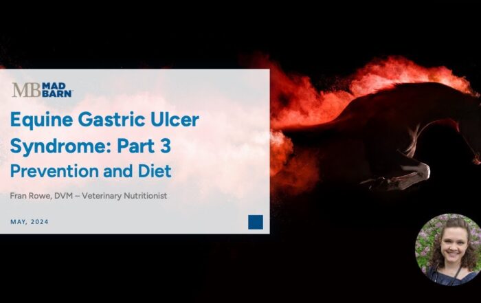Part 3 – Equine Gastric Ulcer Syndrome: Prevention and Diet – Mad Barn – Vet Talk