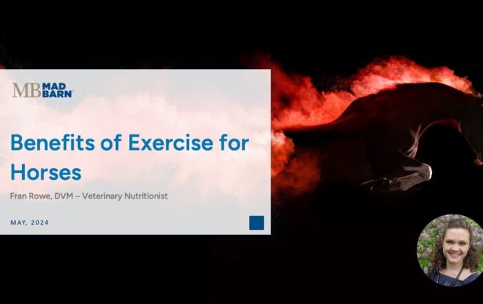 Benefits of Exercise for Horses – Mad Barn – Vet Talk