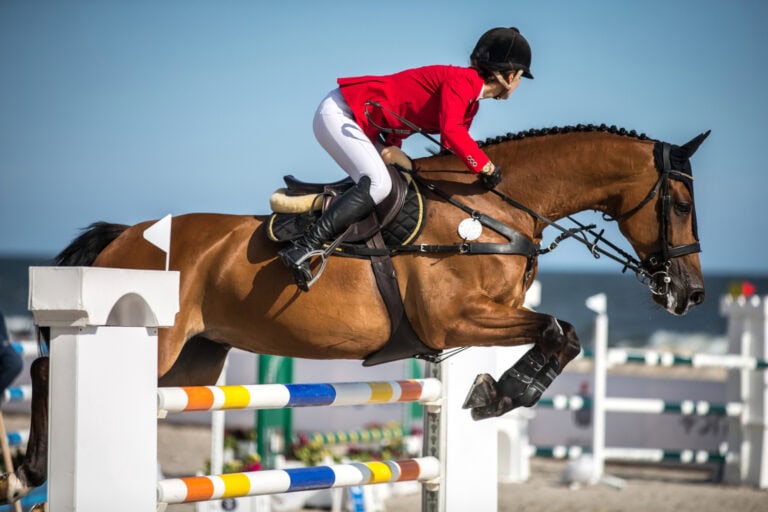 paris 2024 show jumping guide