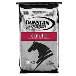 Salute (Dunstan)