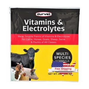 Vitamins & Electrolytes (Durvet)