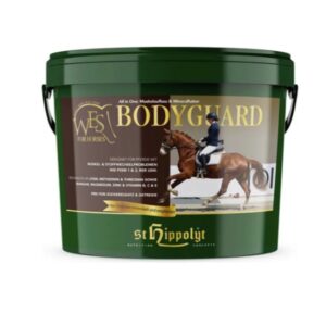 WES Bodyguard (St.Hippolyt)