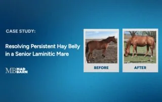case-study-resolving-persistent-hay-belly