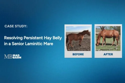 case-study-resolving-persistent-hay-belly