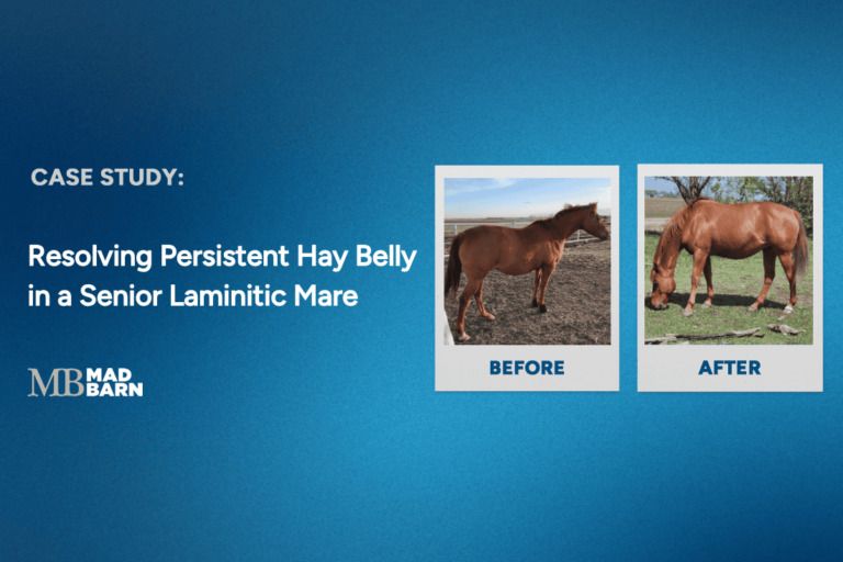 case-study-resolving-persistent-hay-belly