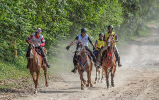 equestrian-discipline-guide-endurance