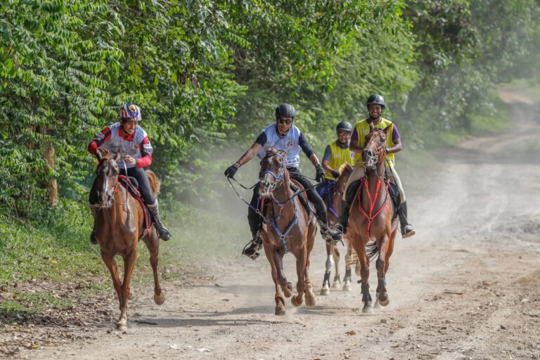 equestrian-discipline-guide-endurance