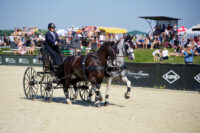 Equestrian Combined Driving: History, Competition & Rules – [Discipline Guide]