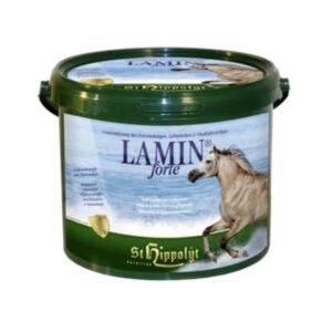 Lamin Forte (St.Hippolyt)