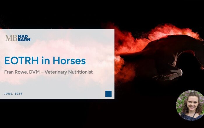 EOTRH in Horses – Mad Barn – Vet Talk