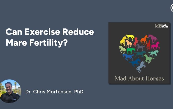 Can Exercise Reduce Mare Fertility?