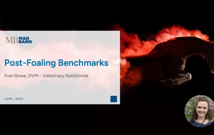 Post-Foaling Benchmarks – Mad Barn – Vet Talk