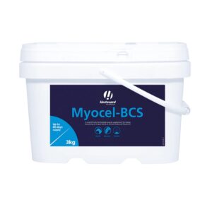 Myocel-BCS (Hestevard)