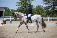 Para Equestrian at the 2024 Paris Olympic Games – [Equestrian Sport Guide]