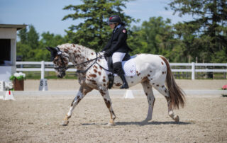 para equestrian paris 2024