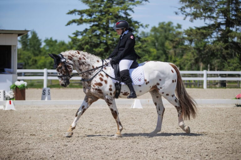 para equestrian paris 2024