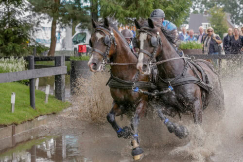 para equestrian discipline guide